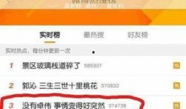 卓伟爆料鹿晗后续视频,卓伟揭秘后续精彩瞬间
